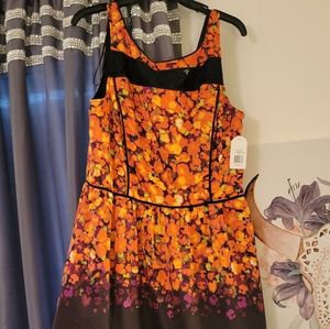 NWT Jessica Simpson bright dress with lace